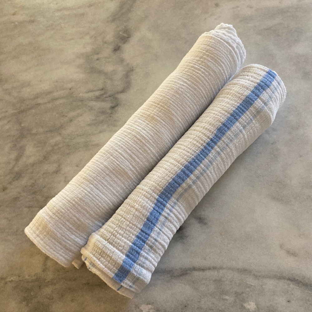 Two Aden + Anais Swaddle Blankets - white/blue
